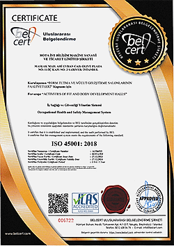 Certificate 4